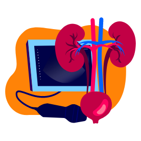 echographie vesicale